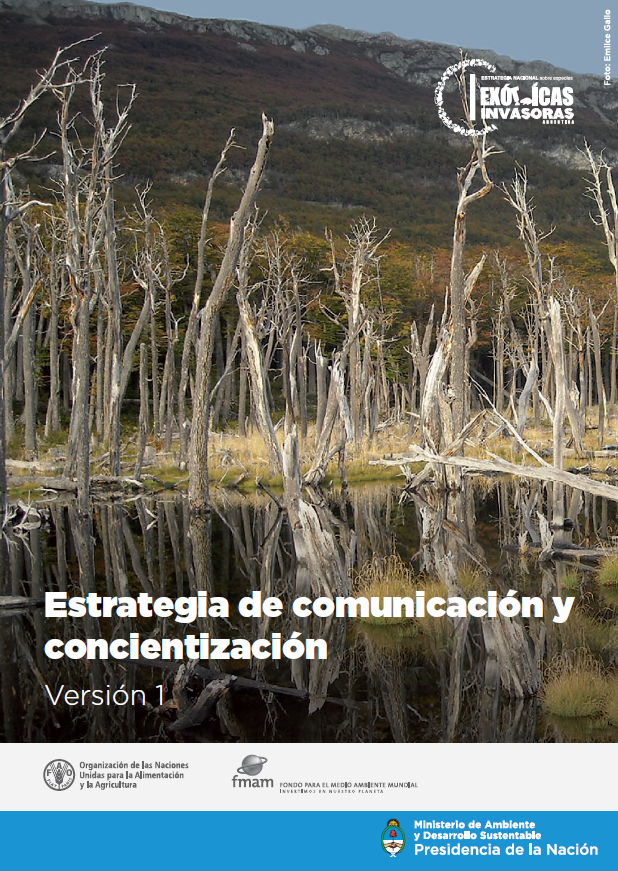 Estrategia de Comunicación de la ENEEI 11