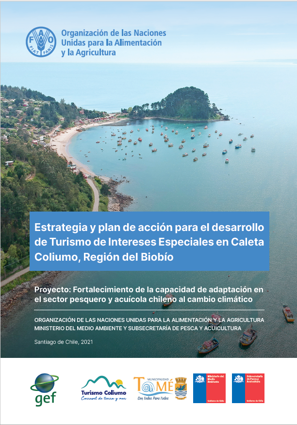 Estrategia de turismo en Caleta Coliumo, Región del Biobío 12