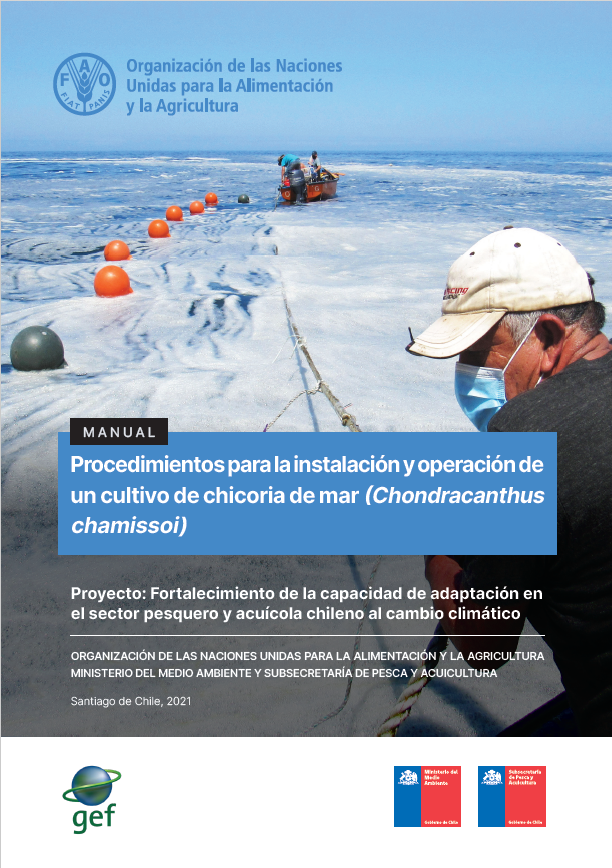 Manual de cultivo de chicoria de mar 18