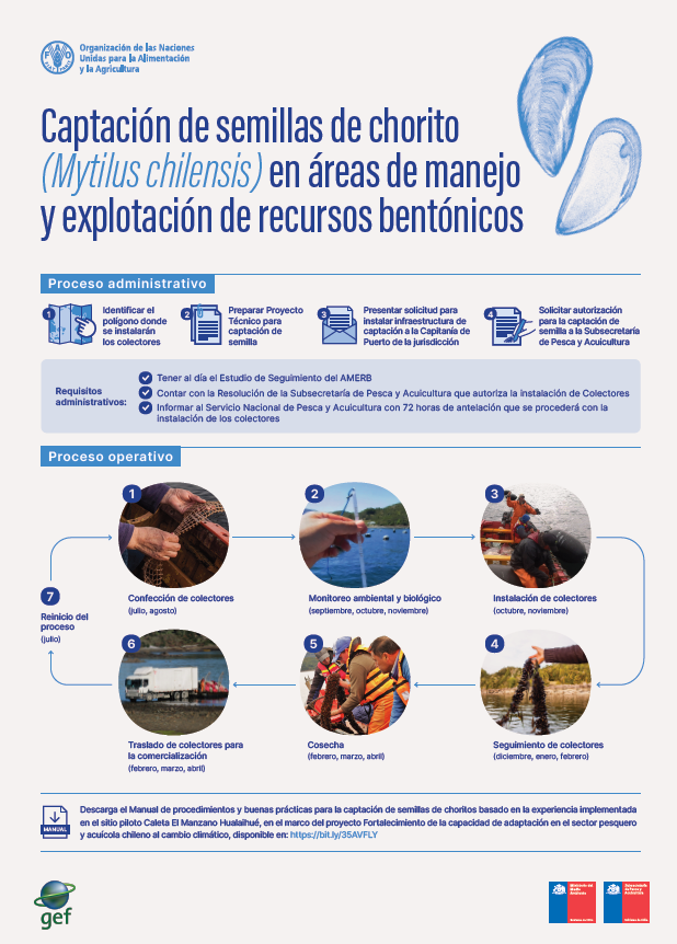 Afiche captación de esporas de choritos 20