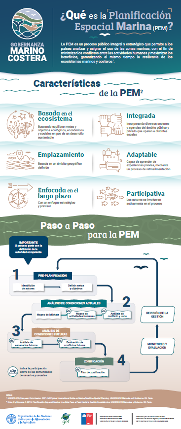 Infografía "¿Qué es la PEM?" 31