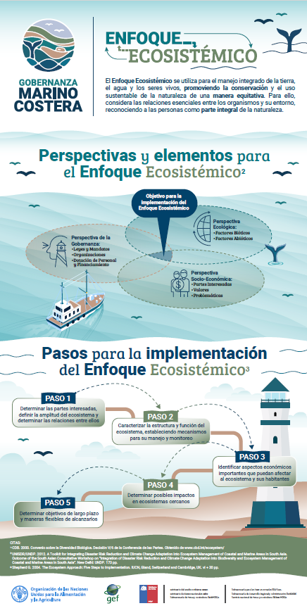 Infografía "Enfoque Ecosistémico" 32