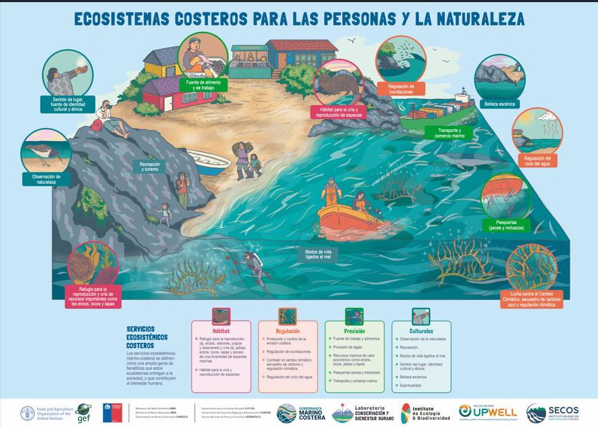 Infografía "Ecosistemas Marino Costeros" 33